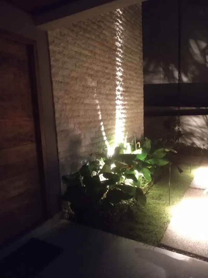 Parede de pedra e plantas com iluminação noturna